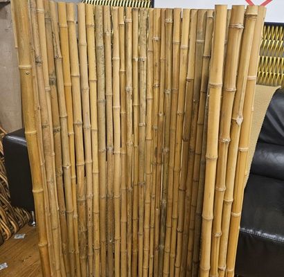 Bamboo